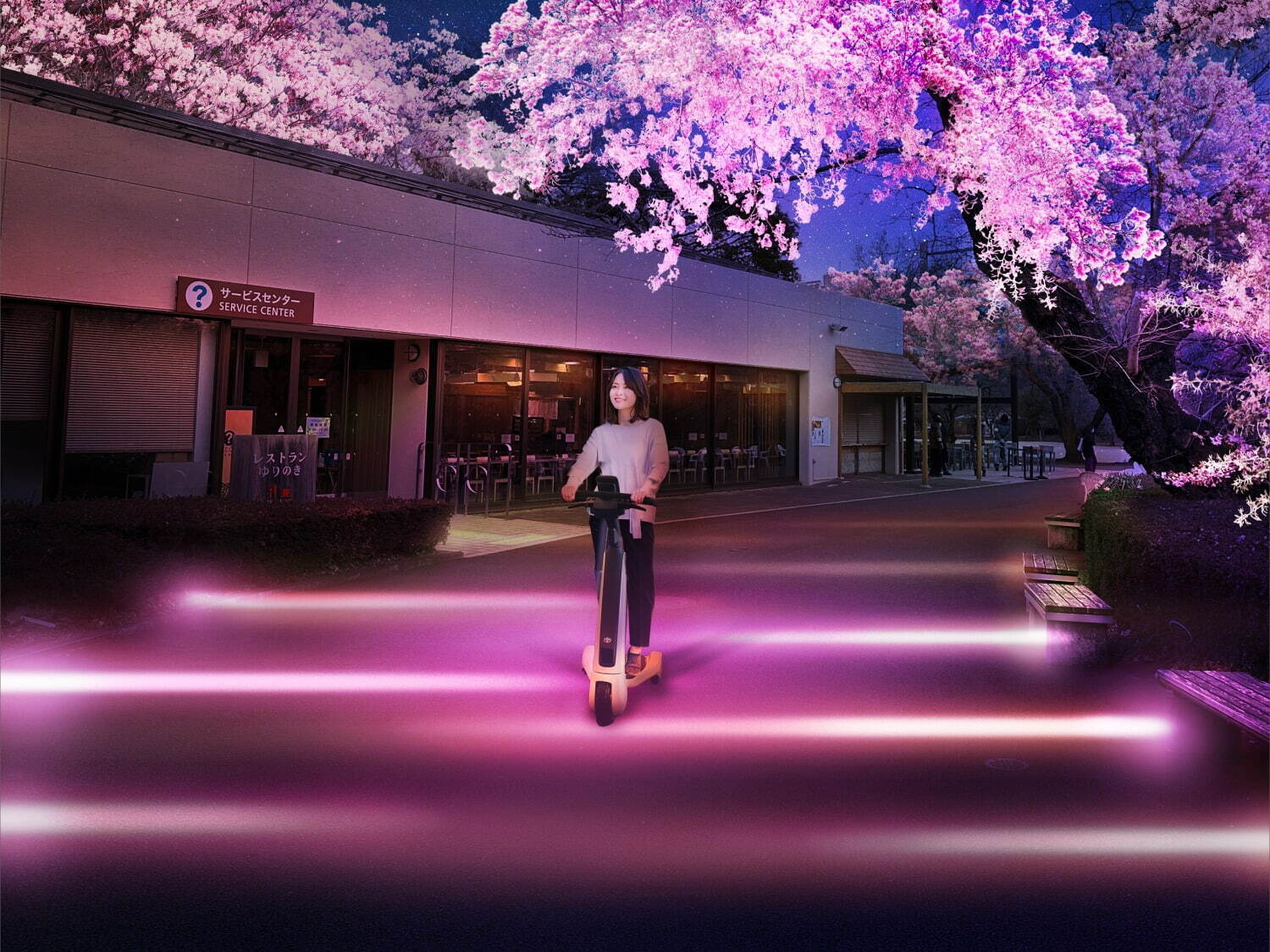 新宿御苑×ネイキッドの“夜桜”ライトアップ、約900本の桜を幻想的な光で彩る｜写真6