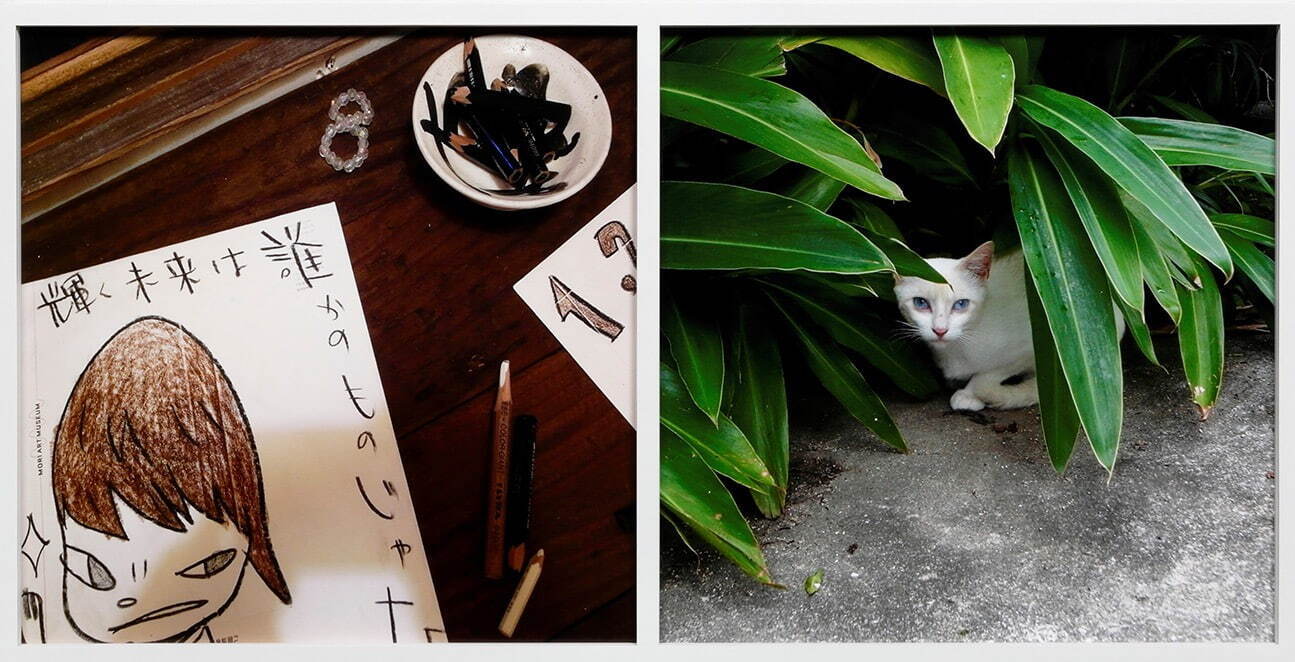 奈良美智 《NY Drawing (left); Yogyakarta Cat (right)》 「days 2003-2012」より 2003-12年 東京都写真美術館蔵
©Yoshitomo Nara