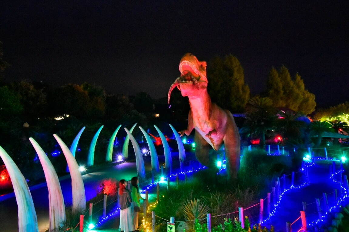 体験型イルミネーション「伊豆高原グランイルミ」静岡・伊豆ぐらんぱる公園で、全長110m虹色スライダー｜写真2