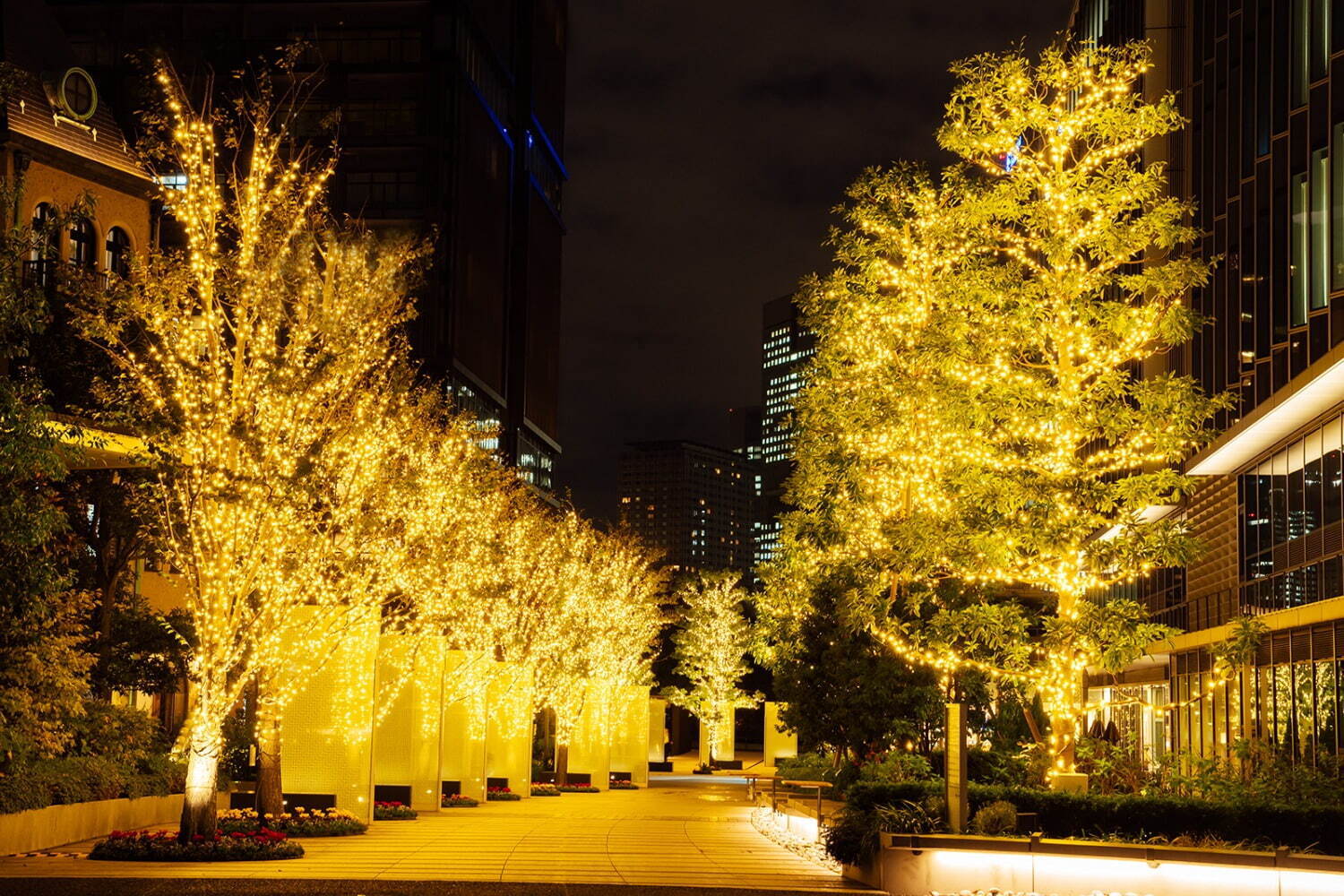 東京ガーデンテラス紀尾井町のイルミネーション2023、“ローズが輝く”クリスマスツリーなど｜写真28