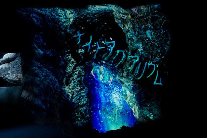 世界初！3Dで体験する“夜の水族館” 新江ノ島水族館で「ナイトアクアリウム」開催｜写真25