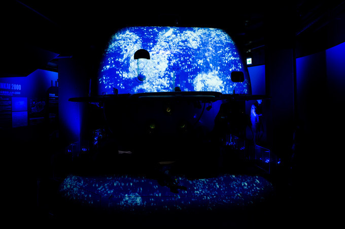 世界初！3Dで体験する“夜の水族館” 新江ノ島水族館で「ナイトアクアリウム」開催｜写真41