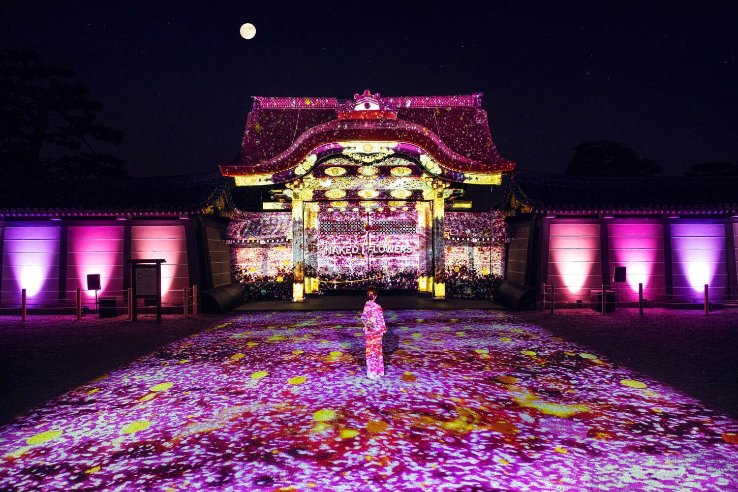 京都・二条城で“アートなお花見”「ネイキッド桜まつり」夜桜ライトアップやデジタルアート、桜スイーツも｜写真1
