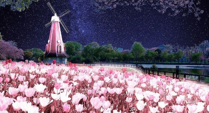 「花と光のムーブメント」小金井公園など都内3か所で、約1,400本の桜やネモフィラ×ライトアップ｜写真11