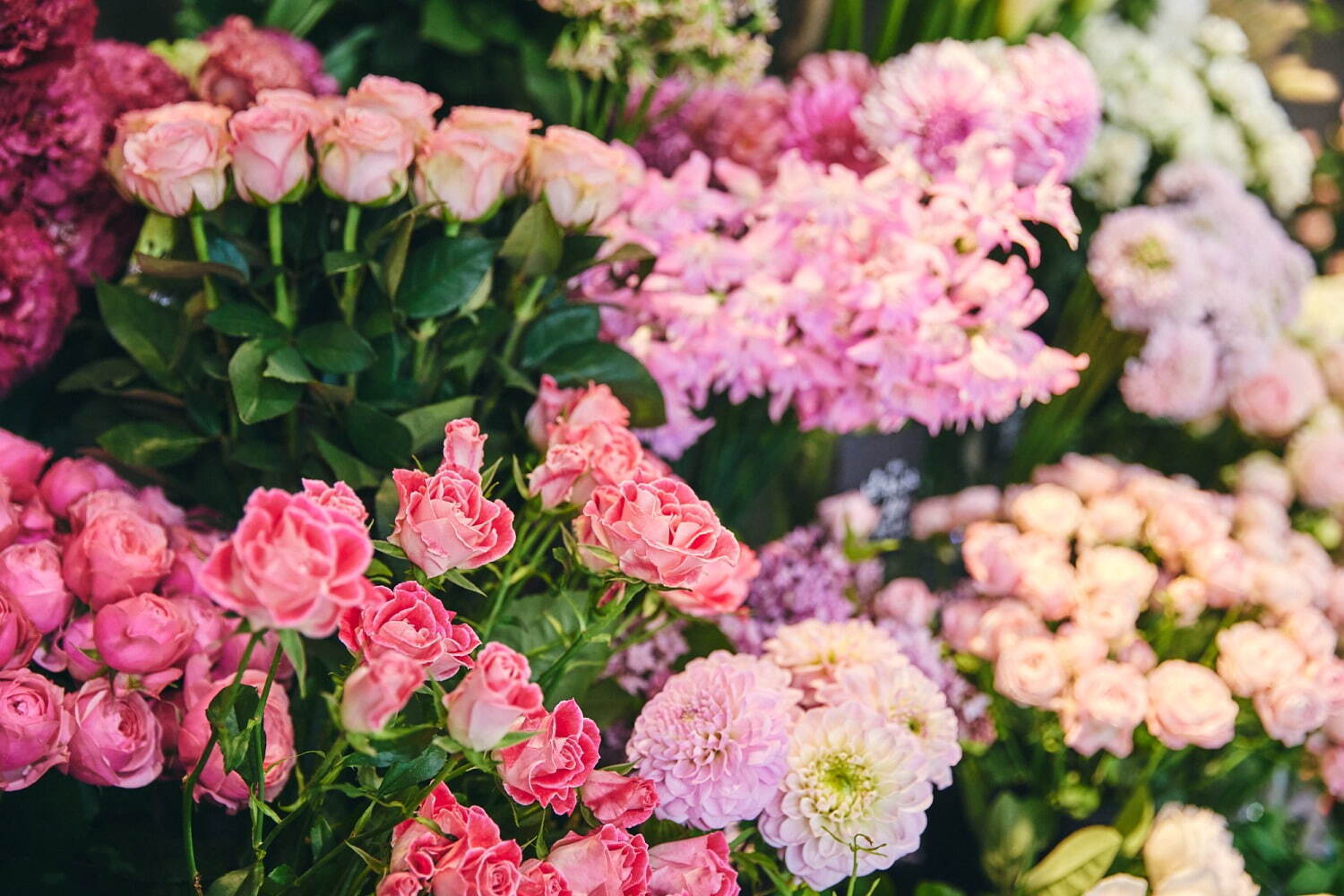 青山フラワーマーケット 南青山本店「バラ＆ガーベラ」が主役の花祭、“ローズ香る”ディフューザーも｜写真1