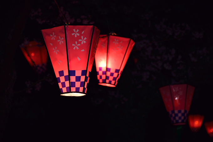 東京・日本橋で桜フェスティバル開催 - 街中がお花見スポットに｜写真10