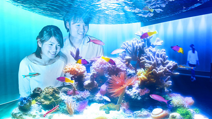 「ニフレル」大阪・EXPOCITYに - 水族館、動物園、美術館を超えた“生きているミュージアム”｜写真2