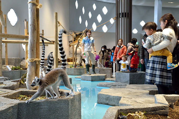 「ニフレル」大阪・EXPOCITYに - 水族館、動物園、美術館を超えた“生きているミュージアム”｜写真7