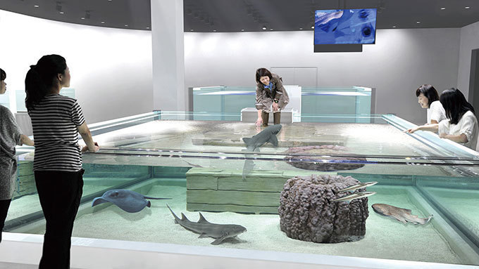 「ニフレル」大阪・EXPOCITYに - 水族館、動物園、美術館を超えた“生きているミュージアム”｜写真14