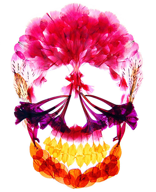 押し花アート写真集『flora』- 多田明日香が美しい花々の世界で彩る鮮やかな骨格｜写真3