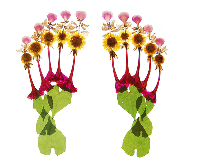 押し花アート写真集『flora』- 多田明日香が美しい花々の世界で彩る鮮やかな骨格｜写真6