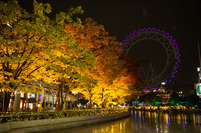 東京ドームシティ ウィンターイルミネーション開催、園内全体が煌びやかにライトアップ｜写真7
