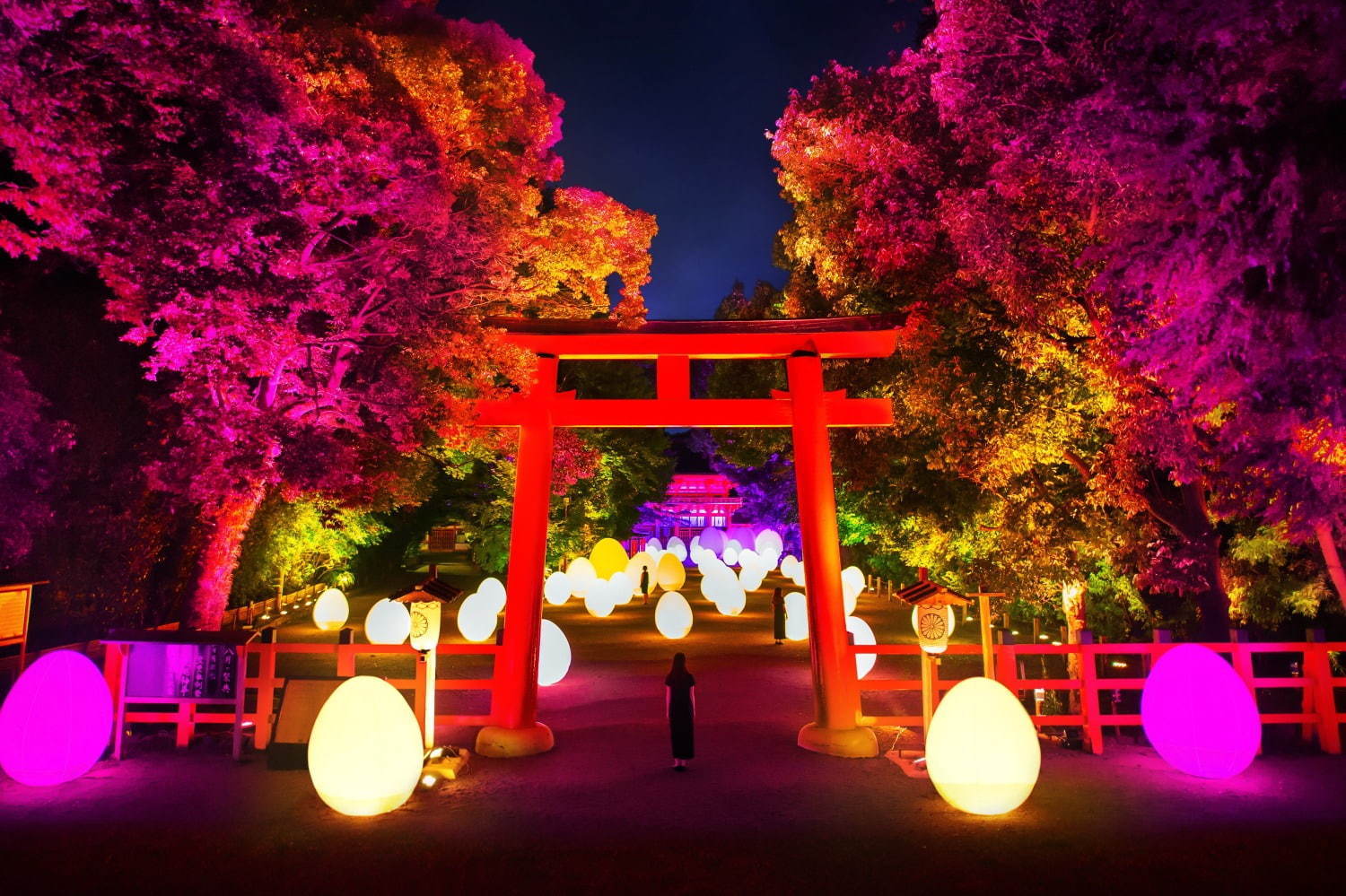 下鴨神社「光の祭」チームラボによって参道＆神社が光と音の幻想空間に