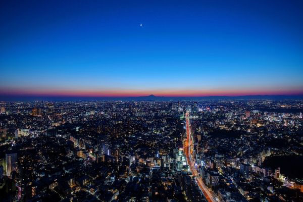 六本木ヒルズ展望台、東京シティビューで東京の街を一望しながら読書、食、芸術を満喫｜写真7