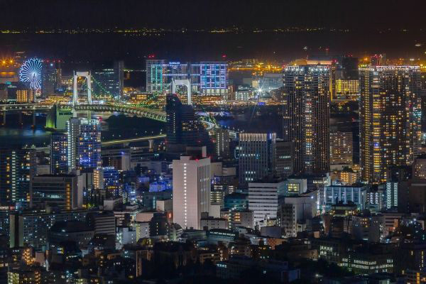 六本木ヒルズ展望台、東京シティビューで東京の街を一望しながら読書、食、芸術を満喫｜写真13