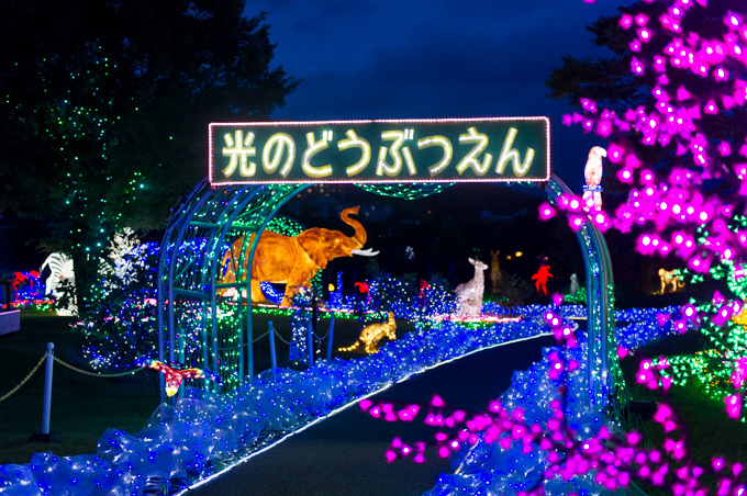 「光の王国」長崎・ハウステンボスにて - 花畑、動物がライトアップ&3Dプロジェクションマッピングも｜写真8