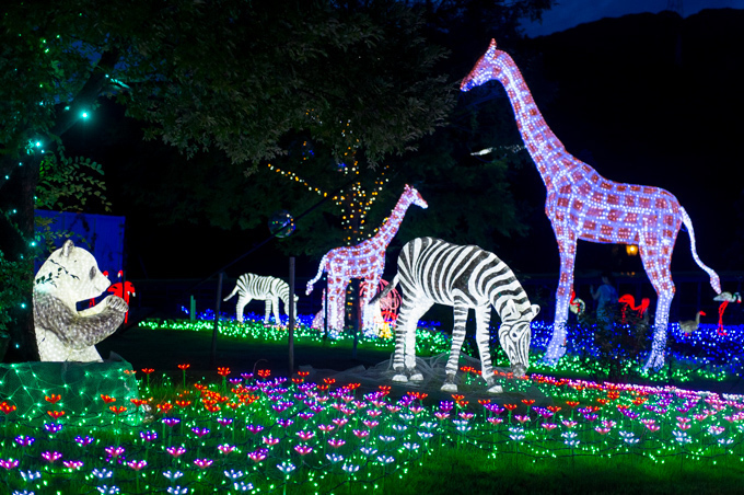 「光の王国」長崎・ハウステンボスにて - 花畑、動物がライトアップ&3Dプロジェクションマッピングも｜写真9