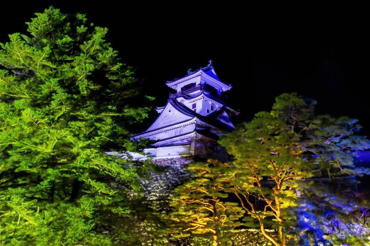 チームラボのアート展が日本三大夜城・高知城で、“光のアート”で包む国の重要文化財｜写真10