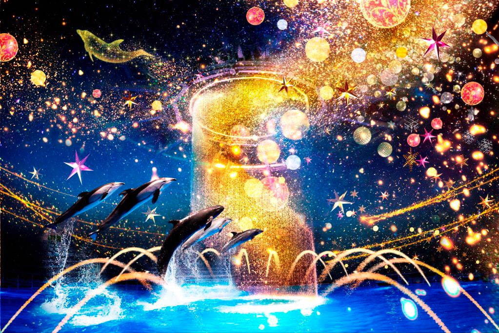 マクセル アクアパーク品川のクリスマス「スターアクアリウム」光と織りなすイルカパフォーマンスなど｜写真5