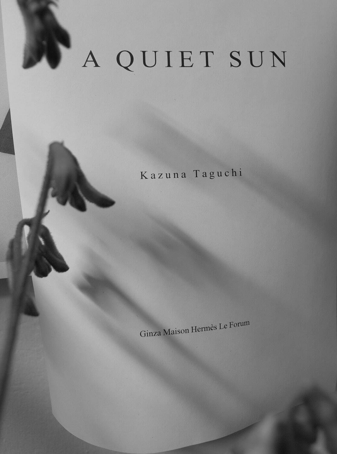 展覧会「A Quiet Sun」のための構想 2022年 ゼラチン・シルバー・プリント サイズ未定
Courtesy of the artist