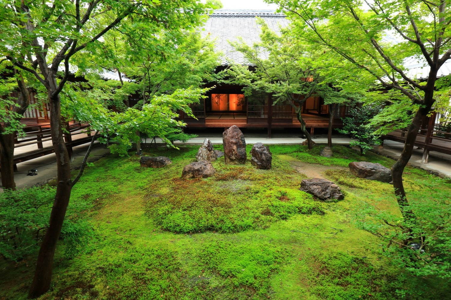 京都観光におすすめ“絶景”神社＆お寺特集 - 清水寺や平等院など世界遺産も | 写真