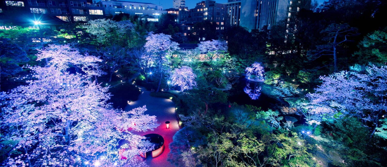 ＜白金台・八芳園＞「桜色の庭園ライトアップ」