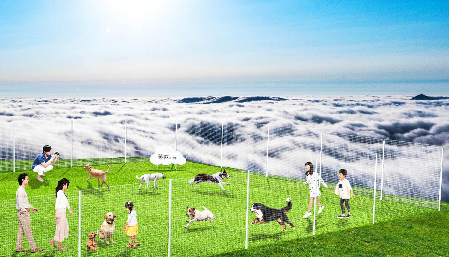 星野リゾート トマムに“犬が雲の上を走る！？”「雲海テラスドッグラン」誕生、犬用クッキーなども｜写真2
