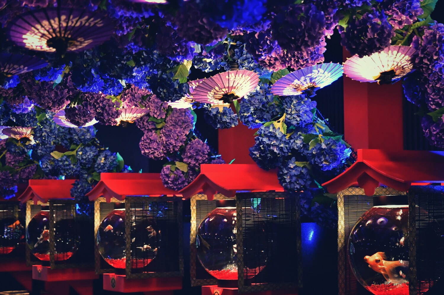 金魚アート「アートアクアリウム美術館 GINZA」梅雨イベント、“紫陽花×金魚”の幻想的な景色｜写真1