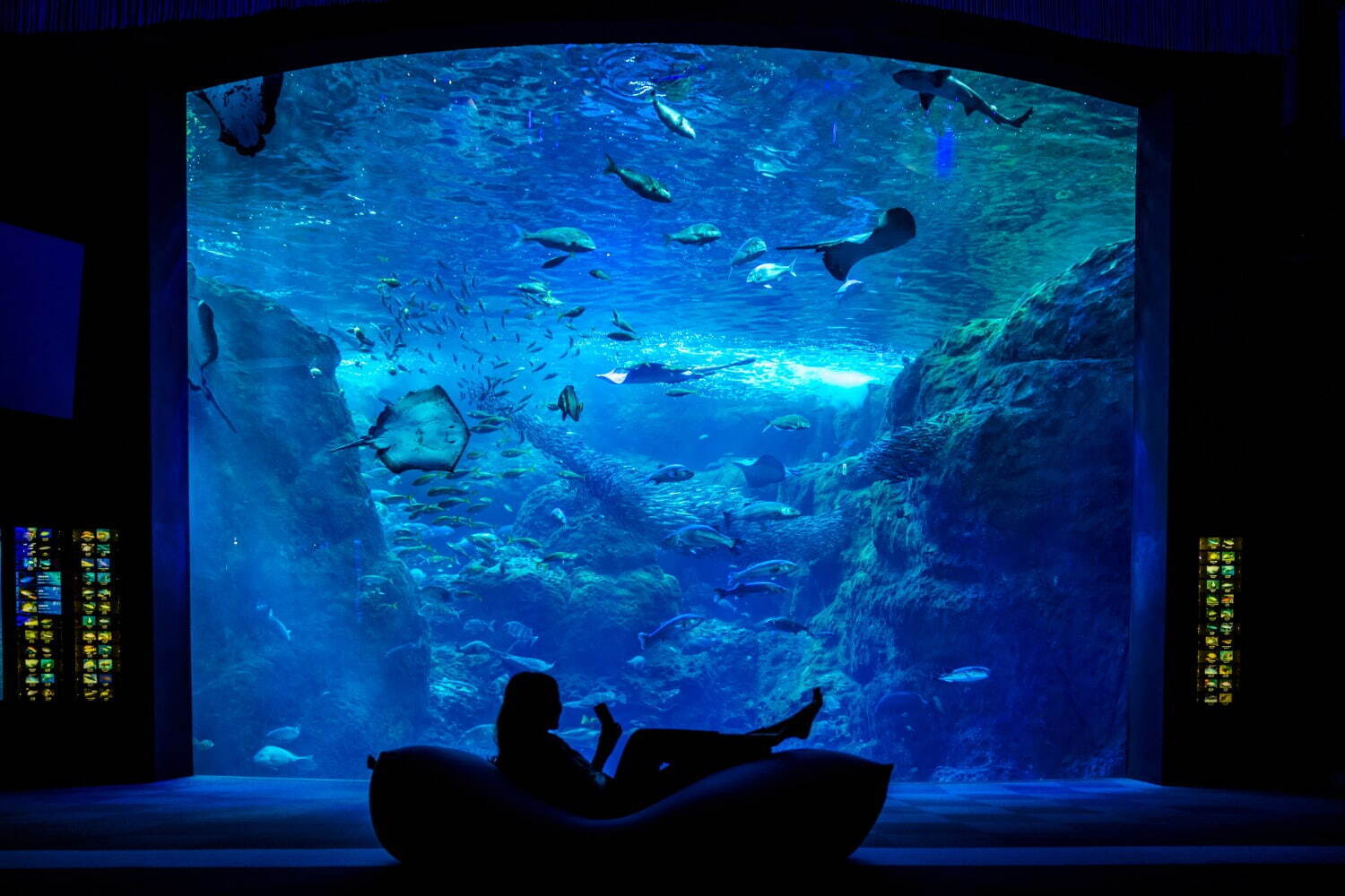 夜の新江ノ島水族館で「チルアクアリウム」“ヨギボー”に寝転んで魚観察、ドリンク「チルアウト」とコラボ｜写真1
