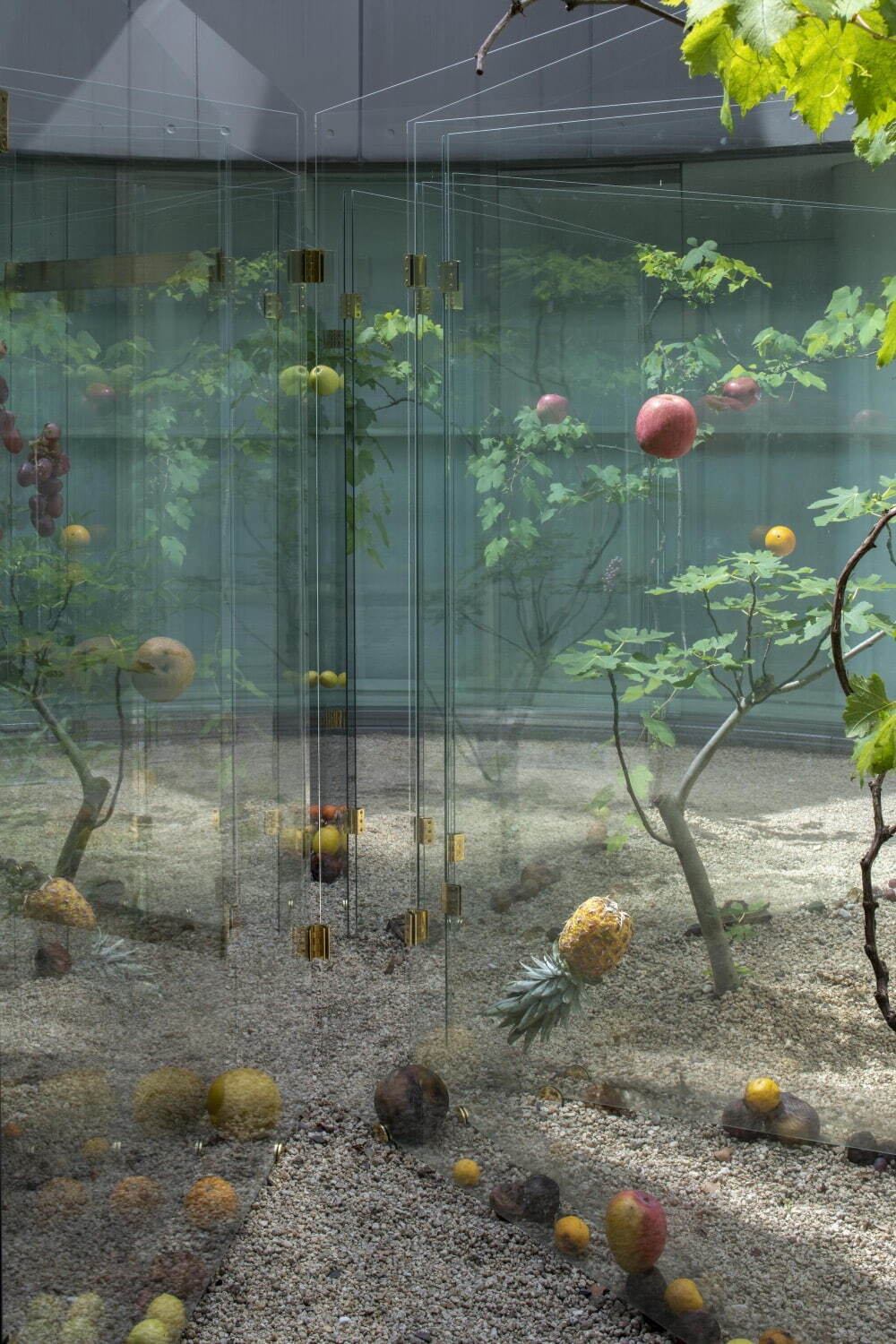 和田礼治郎 《FORBIDDEN FRUIT》 2023年 強化ガラス、真鍮、果物、植物
展示風景：広島市現代美術館 撮影：表恒匡