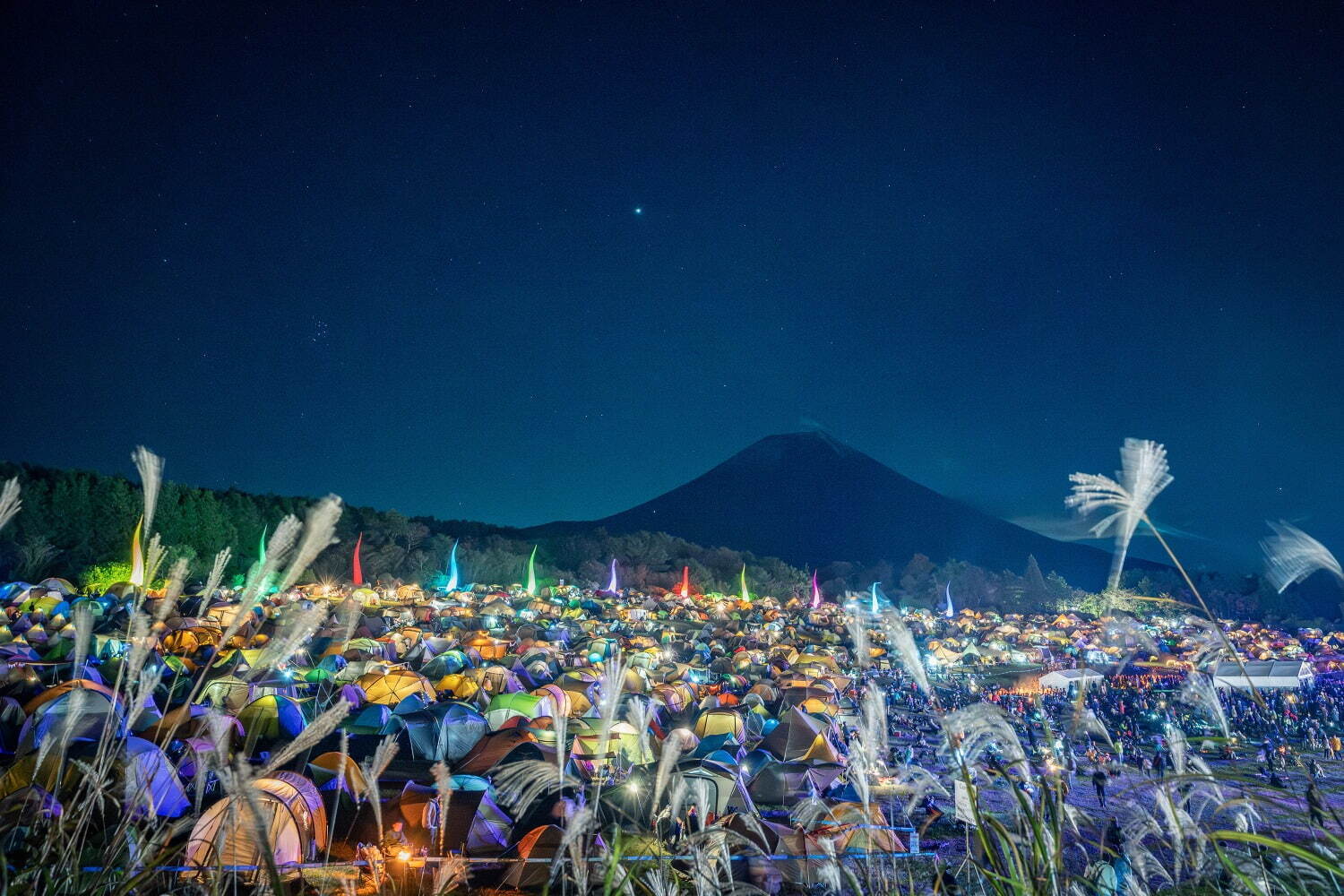 野外音楽フェス「朝霧ジャム'24」静岡・富士山麓 朝霧アリーナで開催決定｜写真4