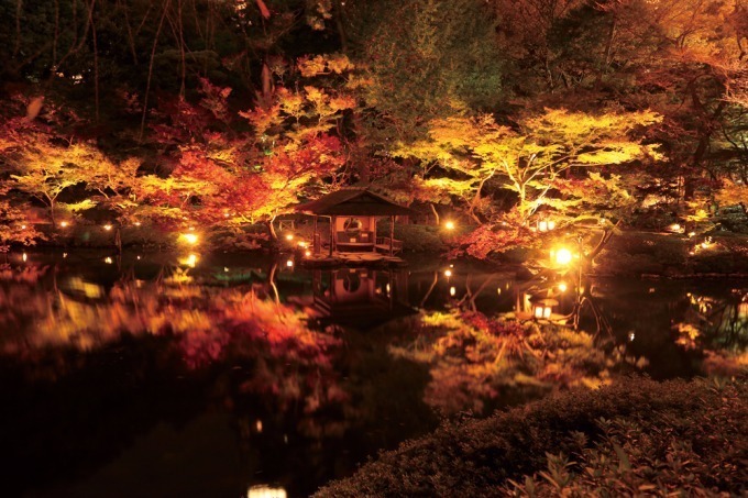 白金台・⼋芳園「紅葉特別ライトアップ」庭園を臨みながら嗜む日本酒やDJイベント開催｜写真1