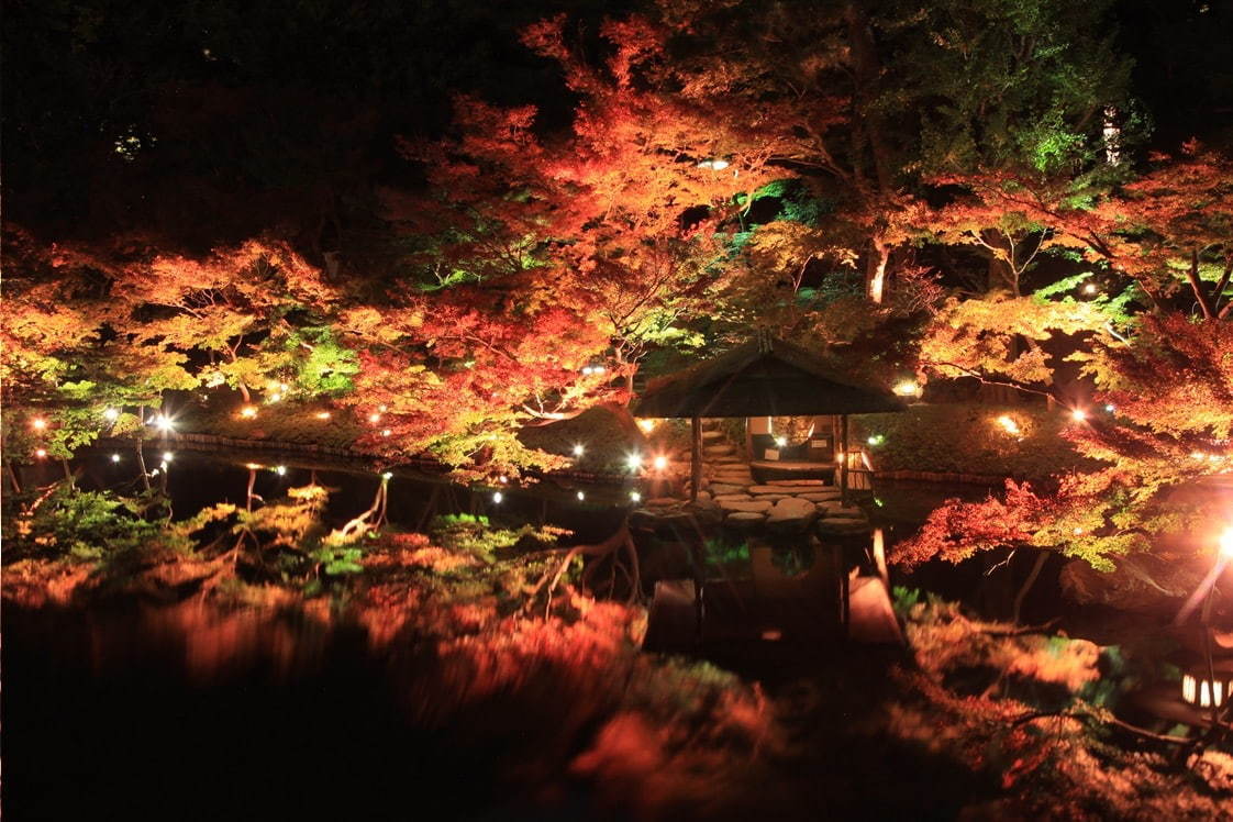 東京・白金台の八芳園、秋の紅葉ライトアップ - 100本のもみじと光で演出する“紅い夜”｜写真1