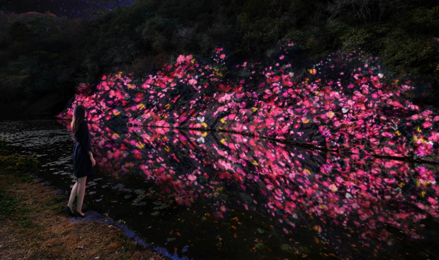増殖する生命の石壁 - 紫雲山 / Ever Blossoming Life Rock Wall - Mt. Shiun
teamLab, 2020, Digitized Nature, Sound: Hideaki Takahashi