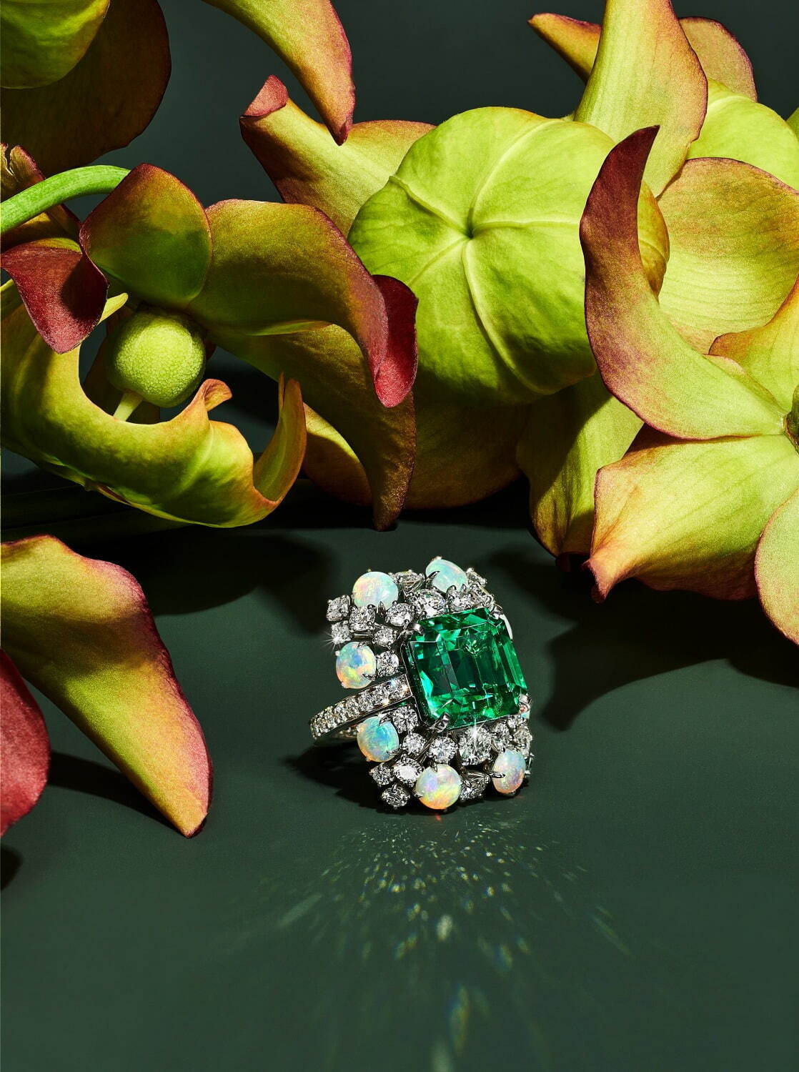 ティファニー“花々”の新作ハイジュエリー、ダイヤモンドの“小花”を飾ったリングやアイリスのブローチ｜写真4