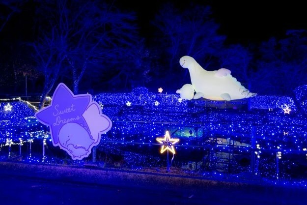 【全国の冬イベント＆祭り2022】クリスマスのお出かけにもぴったり！関東＆関西のおすすめスポット | 写真