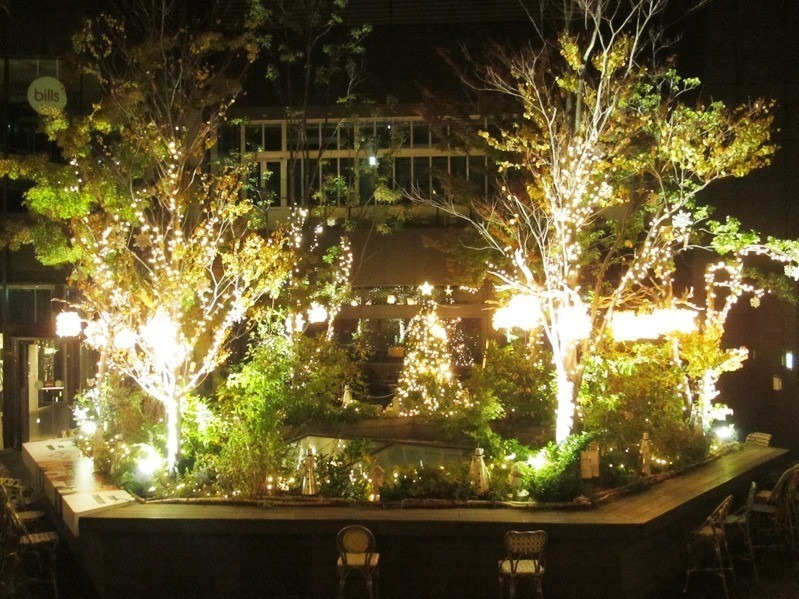 東急プラザ表参道原宿のクリスマスイルミネーション、屋上テラスで“星の降る森”イメージのライトアップ｜写真5