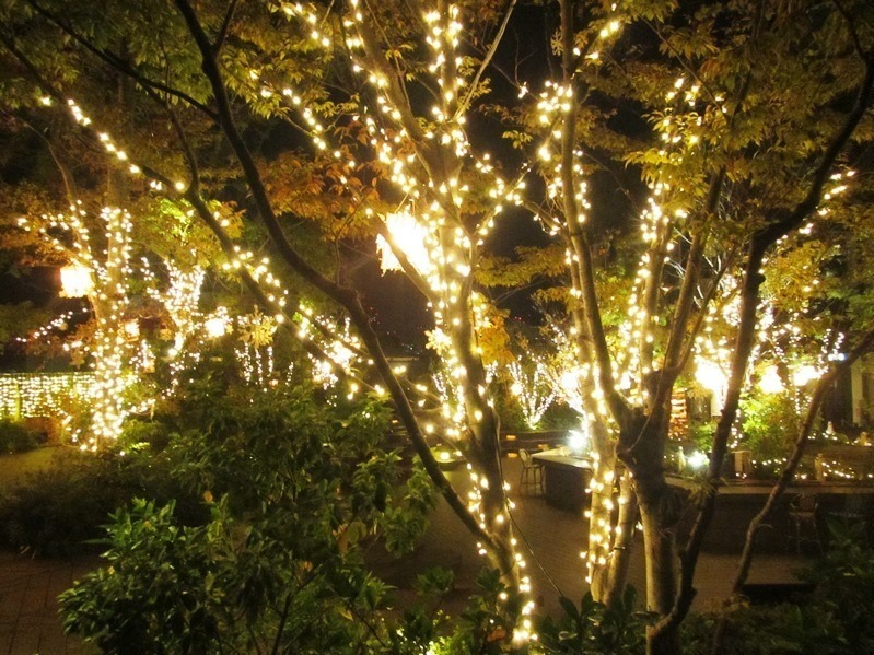 東急プラザ表参道原宿のクリスマスイルミネーション、屋上テラスで“星の降る森”イメージのライトアップ｜写真6