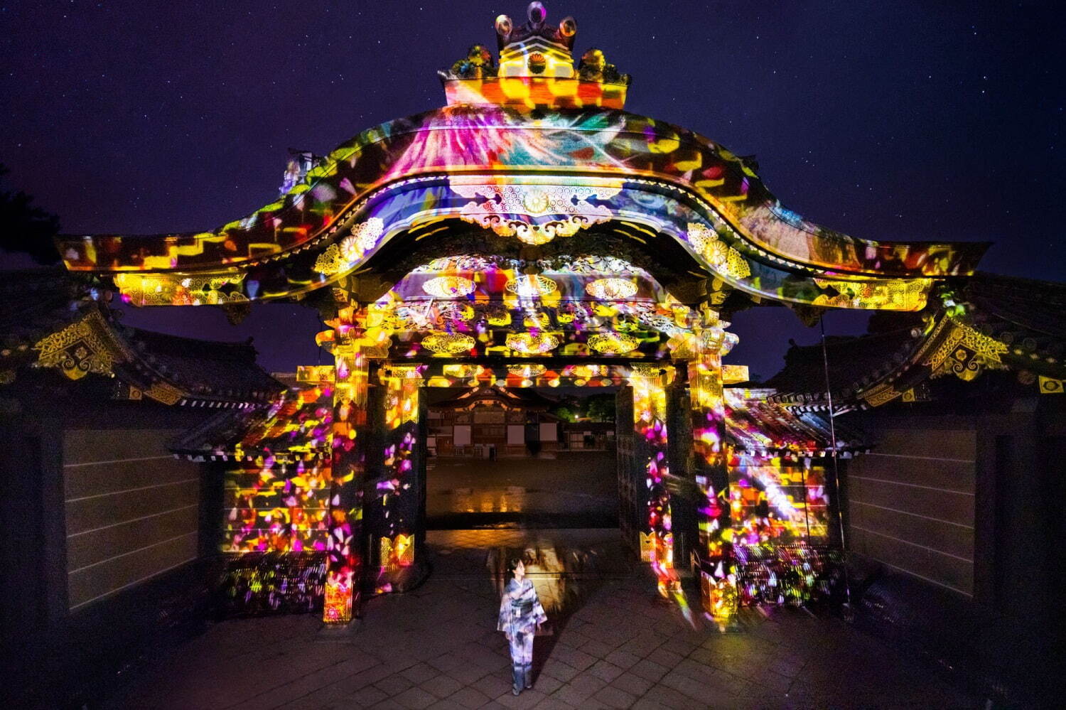 京都・二条城で「ネイキッド フラワーズ 2022」デジタルアートやライトアップで幻想的に彩る｜写真1