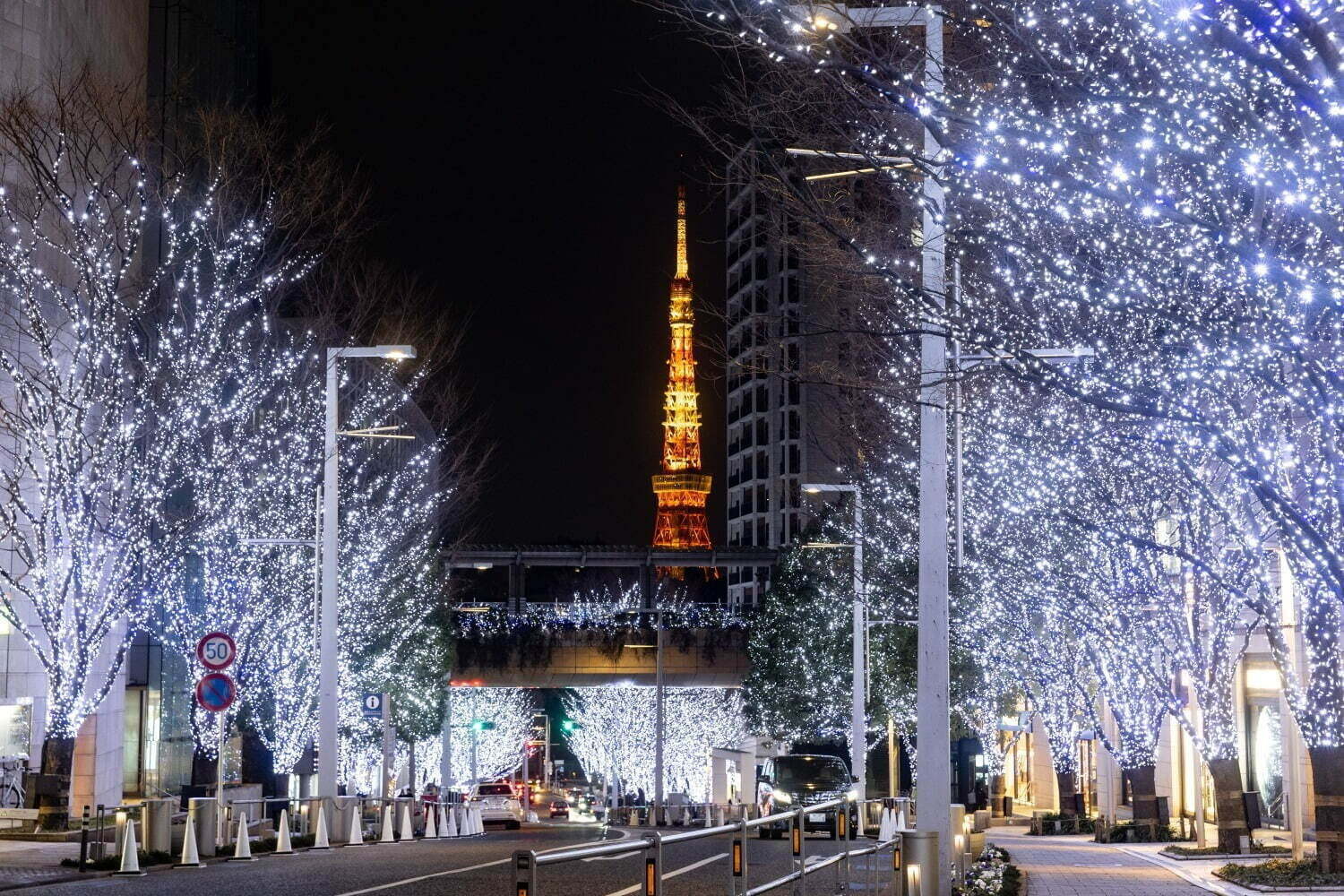 【全国のイルミネーション2022-23年】クリスマス＆冬デートにおすすめ！関東＆関西の人気スポット｜写真5