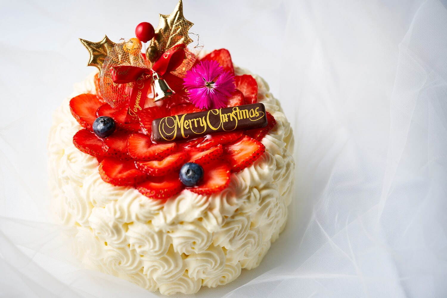 アートホテル大阪ベイタワー22年クリスマスケーキ、“禁断の園”着想チョコ＆ベリーのスクエアケーキ｜写真3