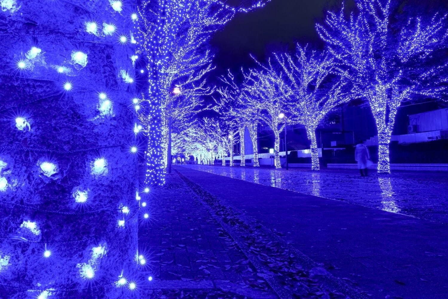 【関東の冬イベント＆祭り2022】クリスマスのお出かけなど、東京＆日帰りOKのおすすめスポット｜写真26