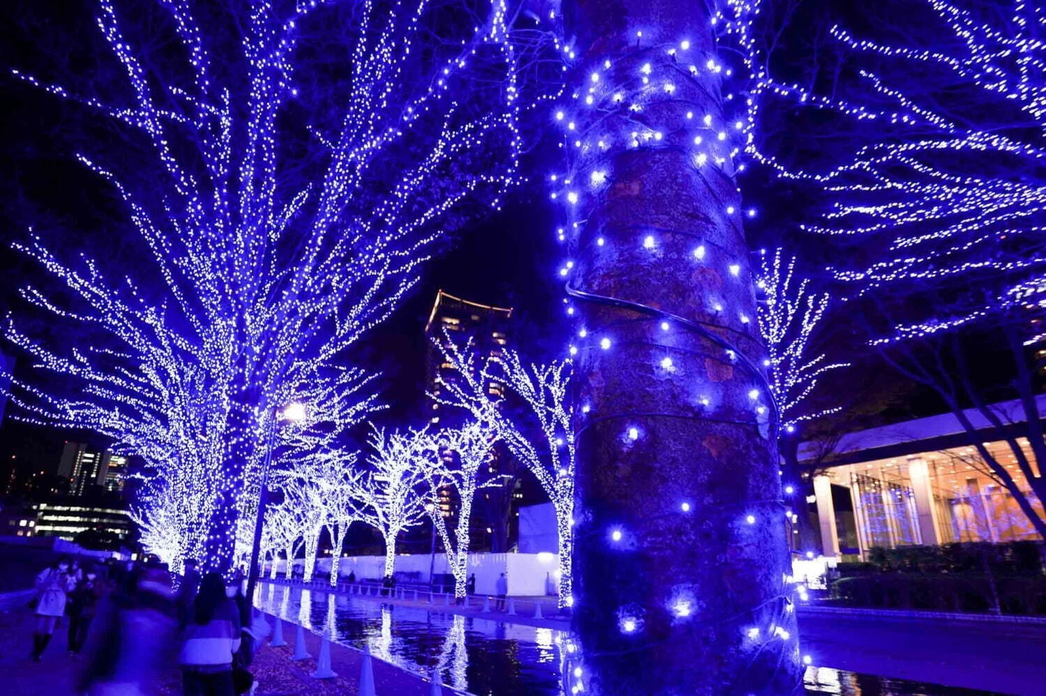 【関東の冬イベント＆祭り2022】クリスマスのお出かけなど、東京＆日帰りOKのおすすめスポット｜写真37