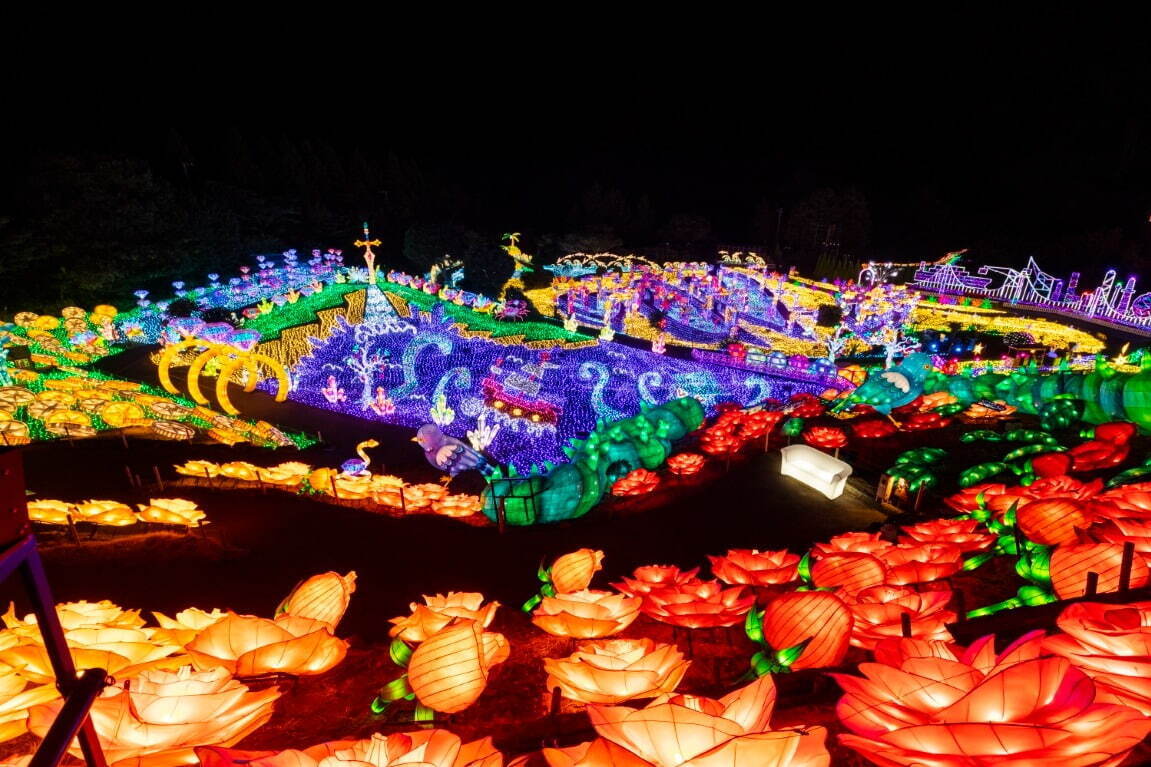 「伊豆高原グランイルミ」静岡・伊豆ぐらんぱる公園で、鮮やかな光の空間で“お宝さがし”｜写真1