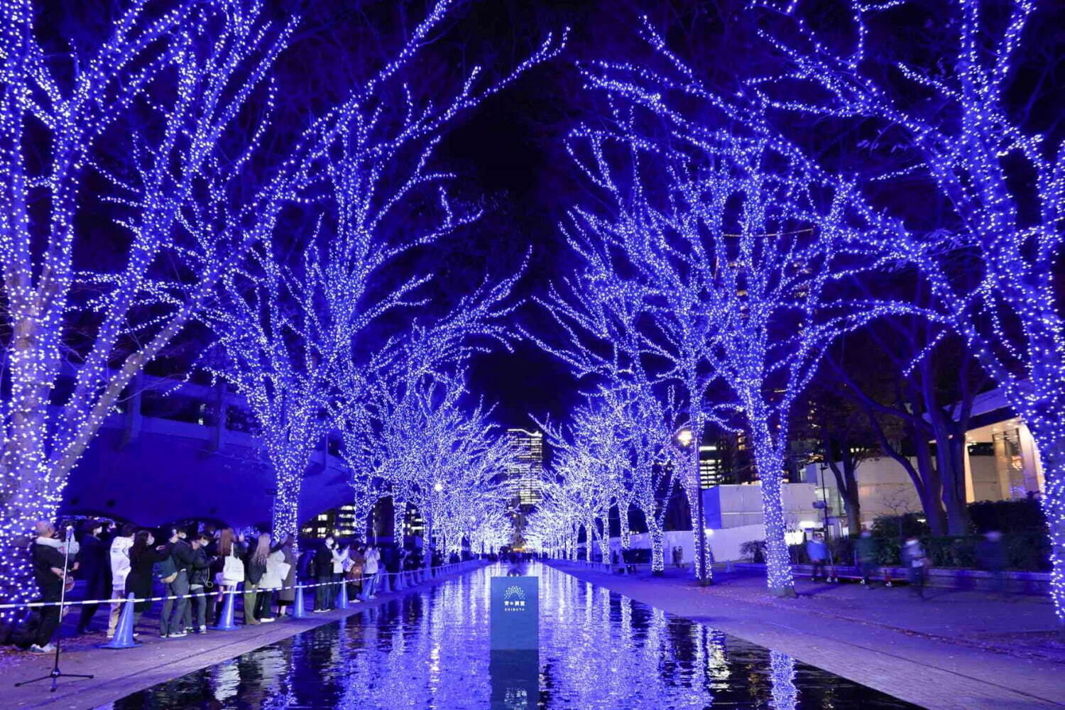 『青の洞窟 SHIBUYA』3年ぶりに開催、“青い光”のイルミネーションが彩る渋谷の夜｜写真1