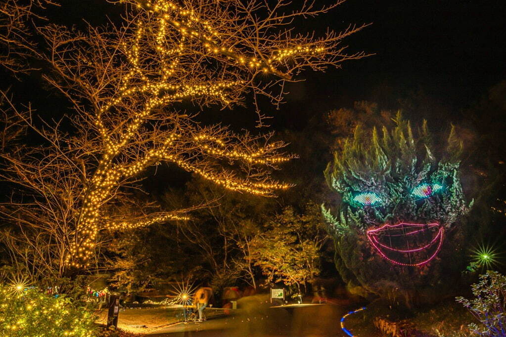 「紅葉見ナイト」約500本のカエデが幻想的にライトアップ、埼玉・国営武蔵丘陵森林公園で｜写真5