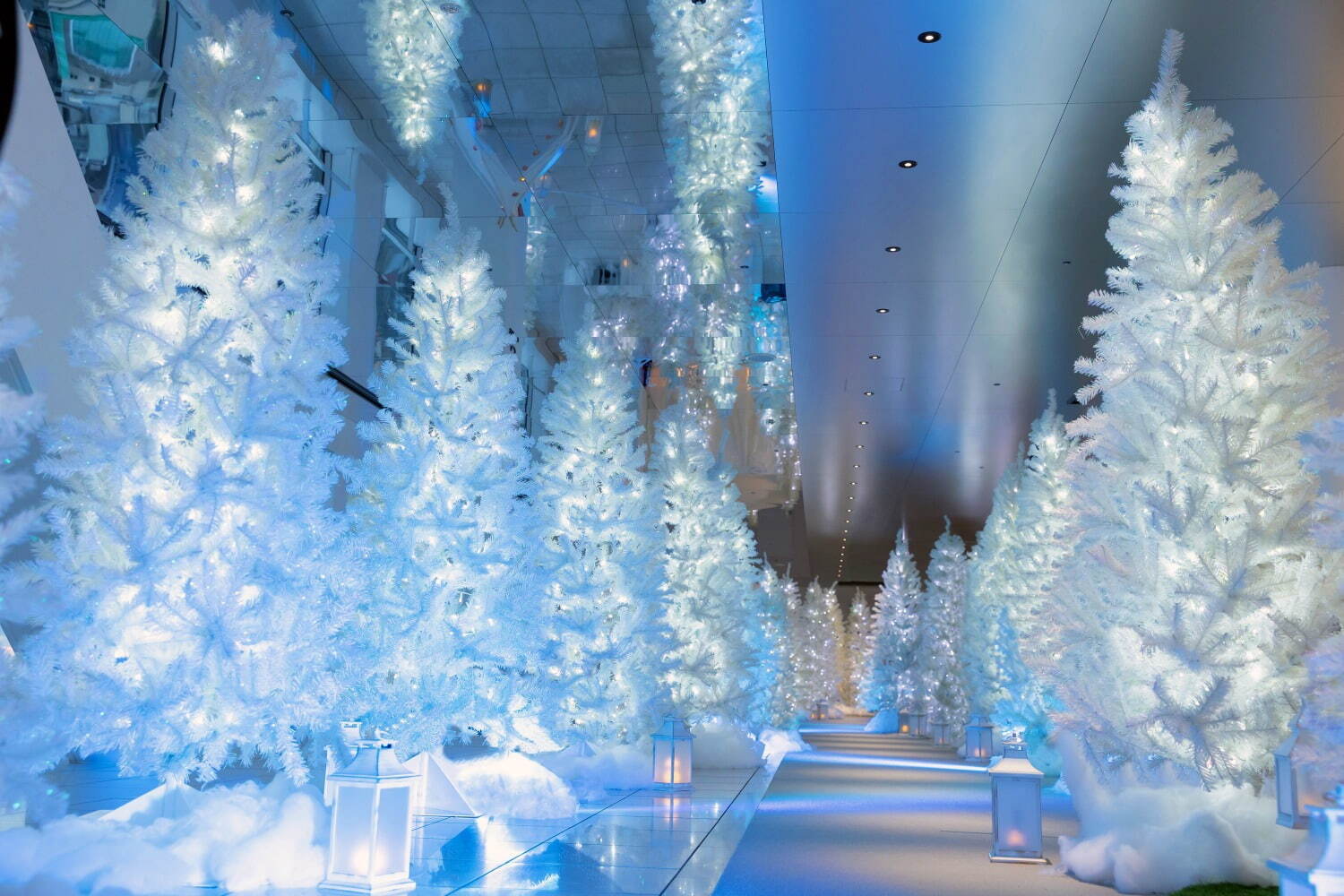 【全国のイルミネーション2022-23年】クリスマス＆冬デートにおすすめ！関東＆関西の人気スポット | 写真
