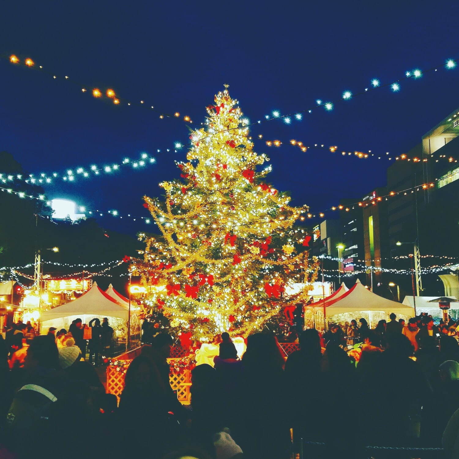 「名古屋クリスマスマーケット2022」“巨大クリスマスツリー”のもとドイツグルメ＆雑貨が集結｜写真1
