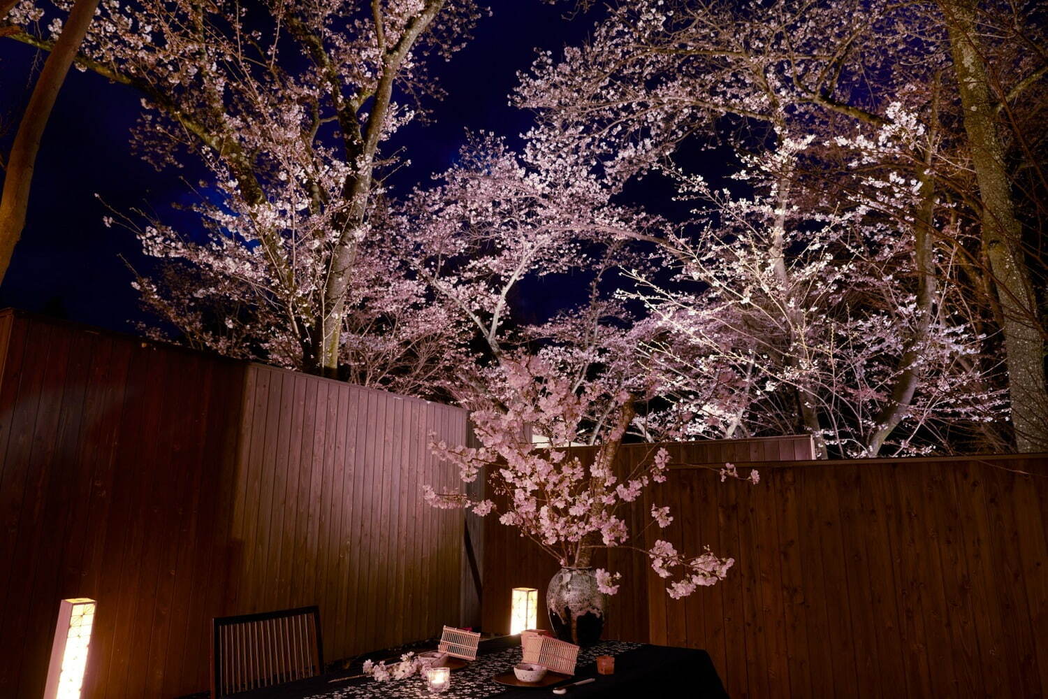 ＜界 鬼怒川＞満開の夜桜と会席料理を楽しむプラン