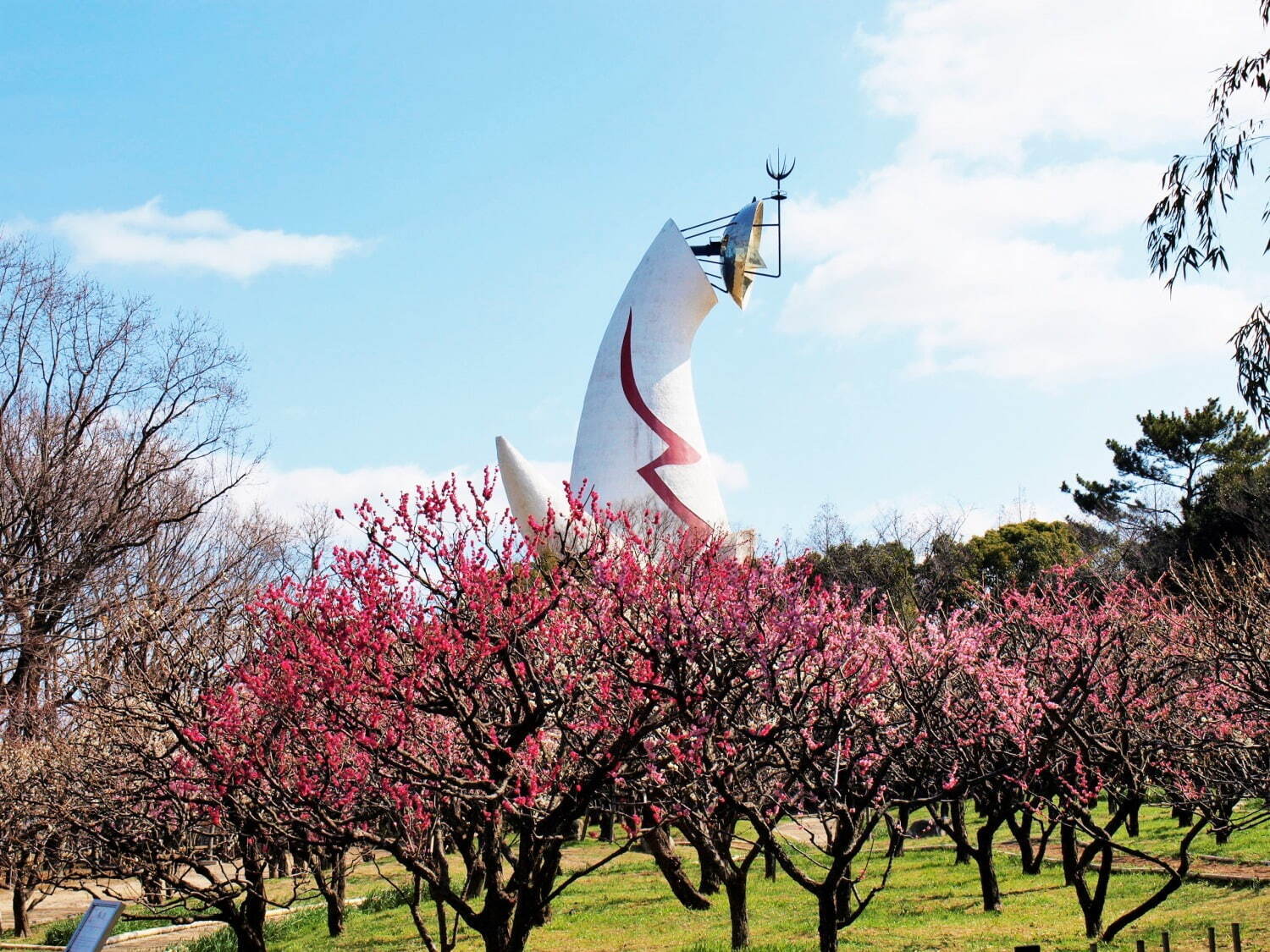 大阪「万博記念公園 梅まつり」約680本の梅が咲くイベント、チョーヤ梅酒飲み比べ＆梅スイーツも｜写真1